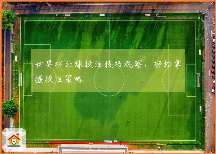 世界杯让球投注技巧观察，轻松掌握投注策略