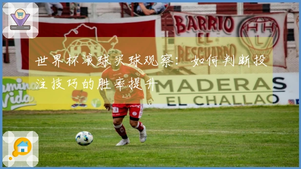 世界杯滚球买球观察：如何判断投注技巧的胜率提升