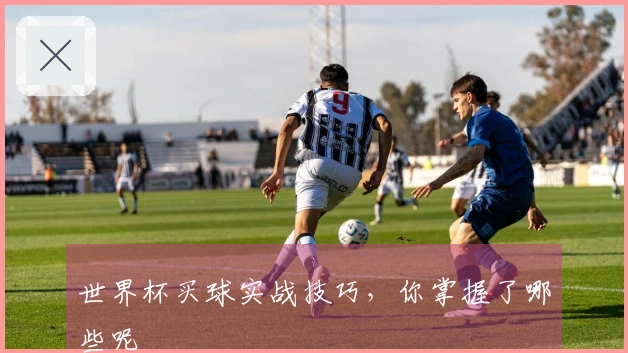 世界杯买球实战技巧，你掌握了哪些呢