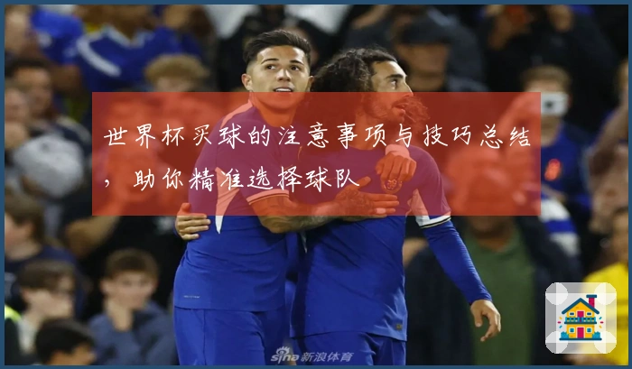 世界杯买球的注意事项与技巧总结，助你精准选择球队