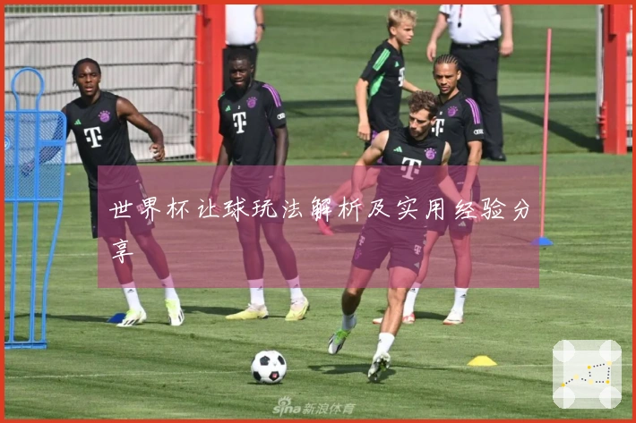 世界杯让球玩法解析及实用经验分享