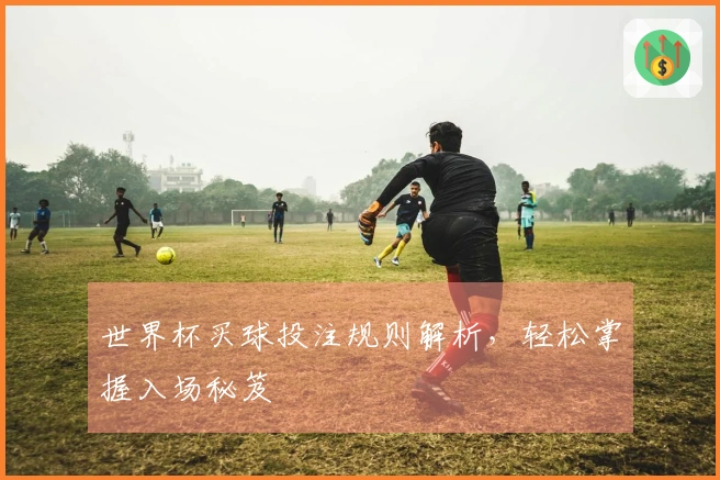 世界杯买球投注规则解析，轻松掌握入场秘笈