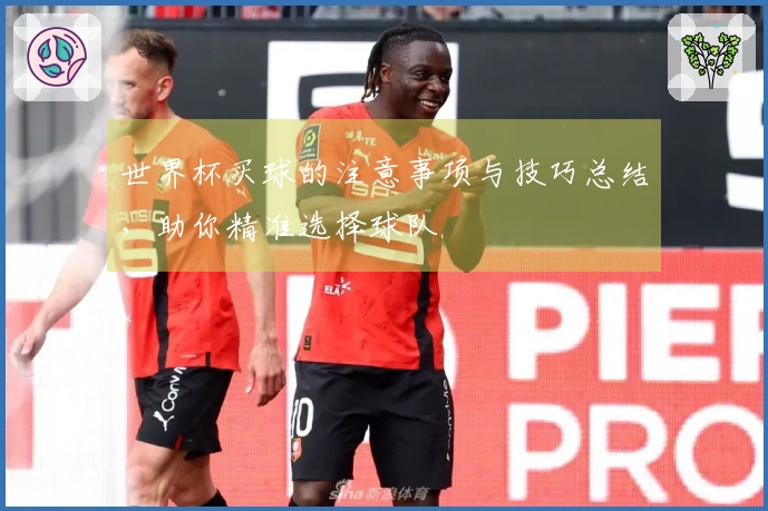 世界杯买球的注意事项与技巧总结，助你精准选择球队