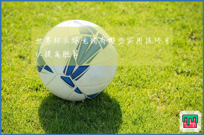 世界杯买球竞猜有哪些实用技巧可以提高胜算