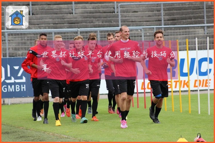 世界杯让球平台使用经验与技巧分享