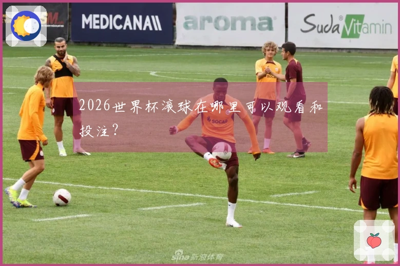 2026世界杯滚球在哪里可以观看和投注？