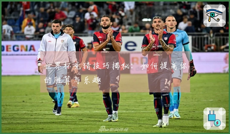 世界杯竞猜技巧揭秘：如何提高你的胜算与乐趣