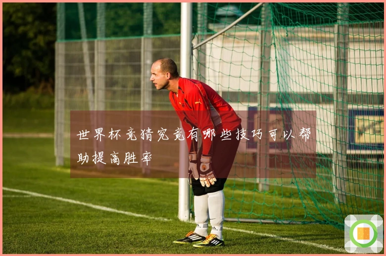 世界杯竞猜究竟有哪些技巧可以帮助提高胜率
