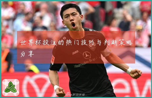 世界杯投注的热门技巧与判断策略分享