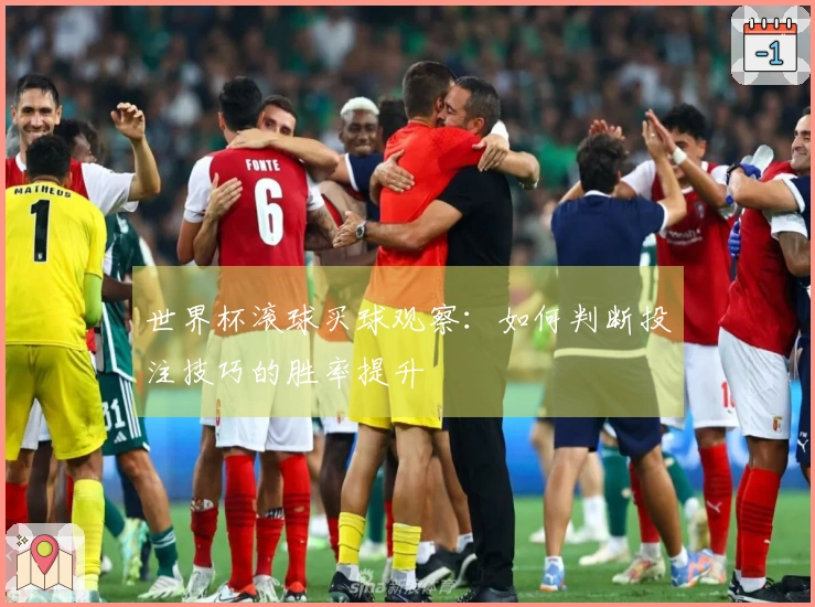 世界杯滚球买球观察：如何判断投注技巧的胜率提升