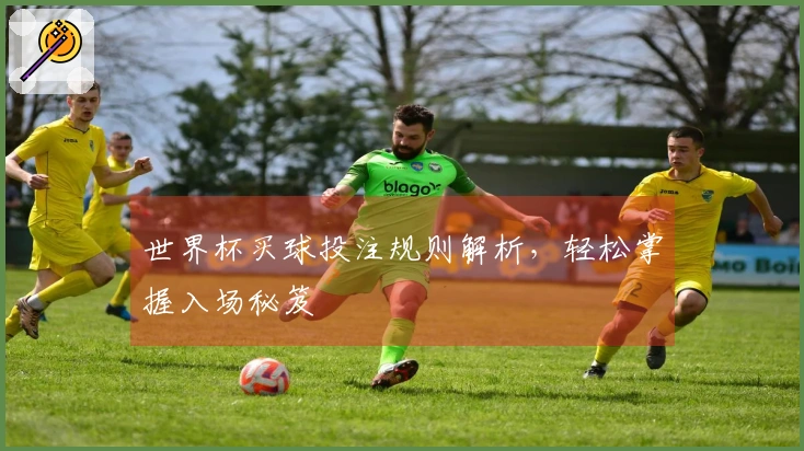 世界杯买球投注规则解析，轻松掌握入场秘笈
