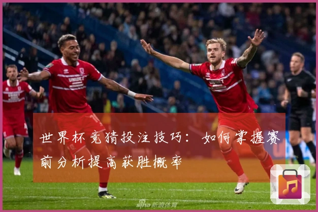 世界杯竞猜投注技巧：如何掌握赛前分析提高获胜概率